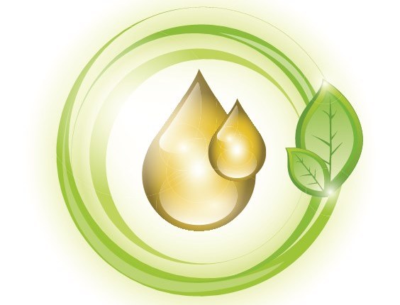 Plant-oil-based lubricants - II